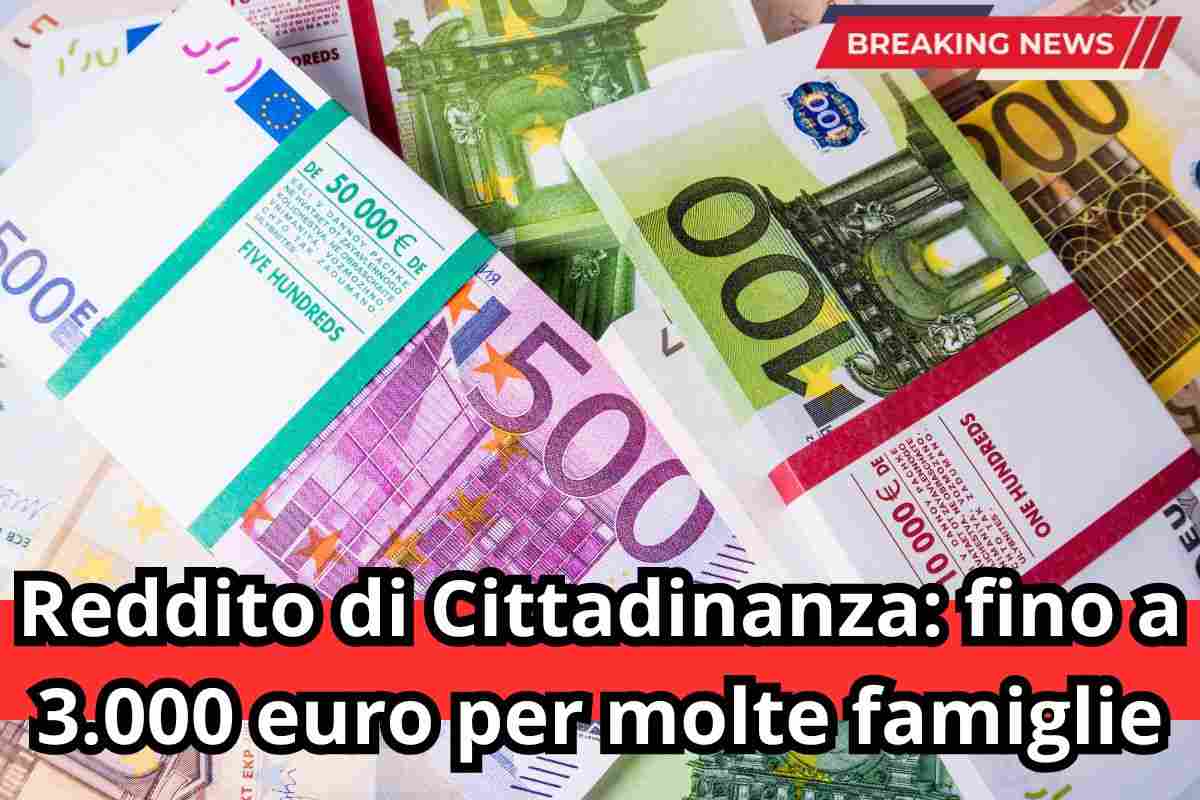 reddito cittadinanza 3000 euro