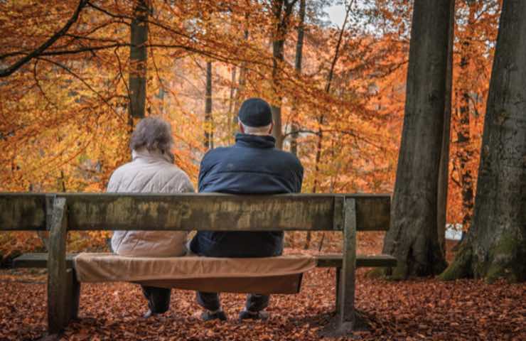 Una coppia di anziani nella natura in autunno