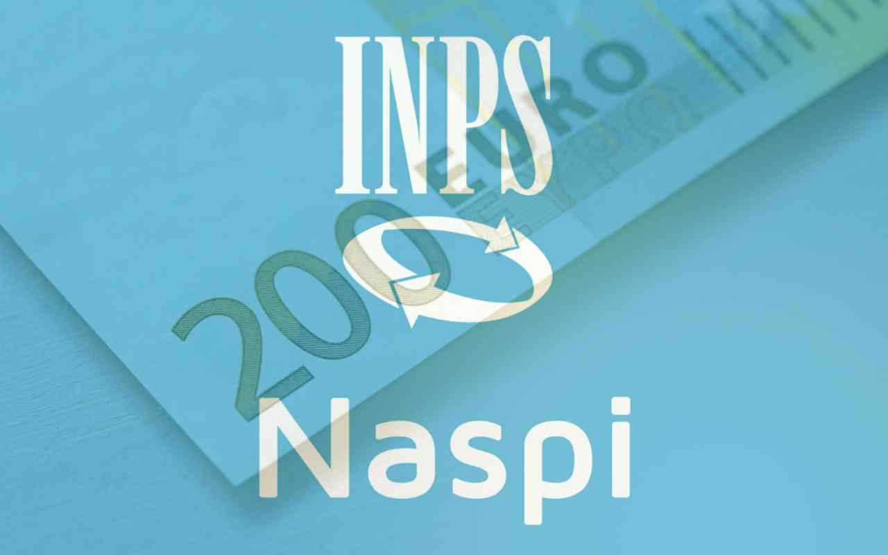 Naspi 2024