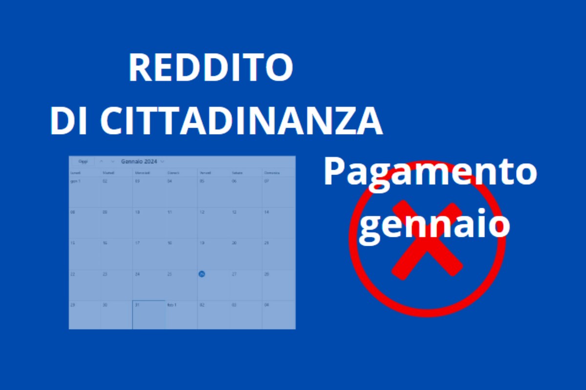 reddito di cittadinanza 