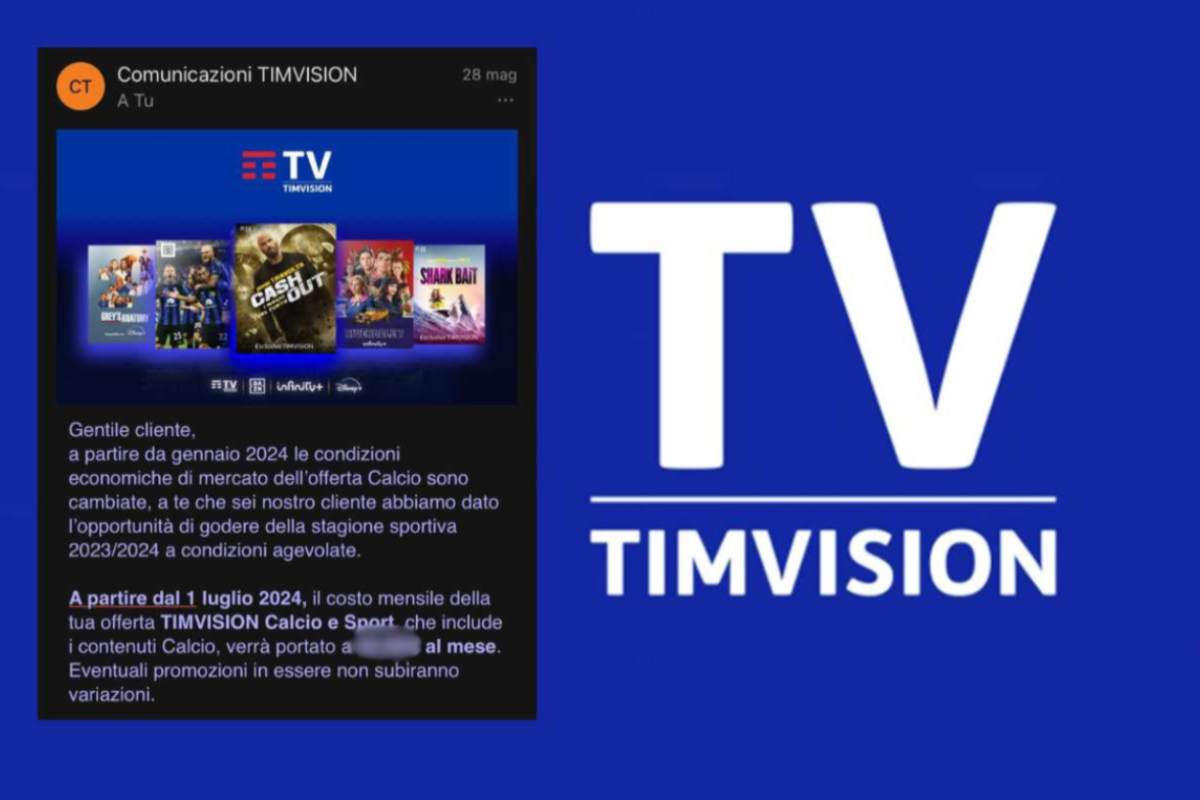 TimVision