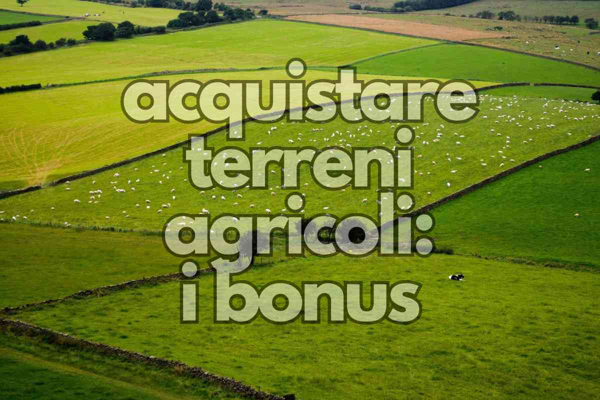 bonus per acquistare terreni agricoli