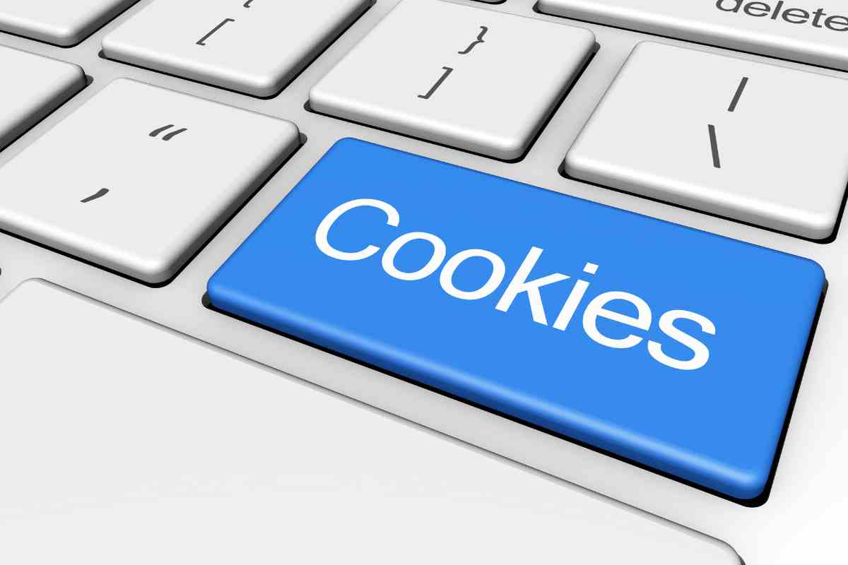 cookies cosa sono