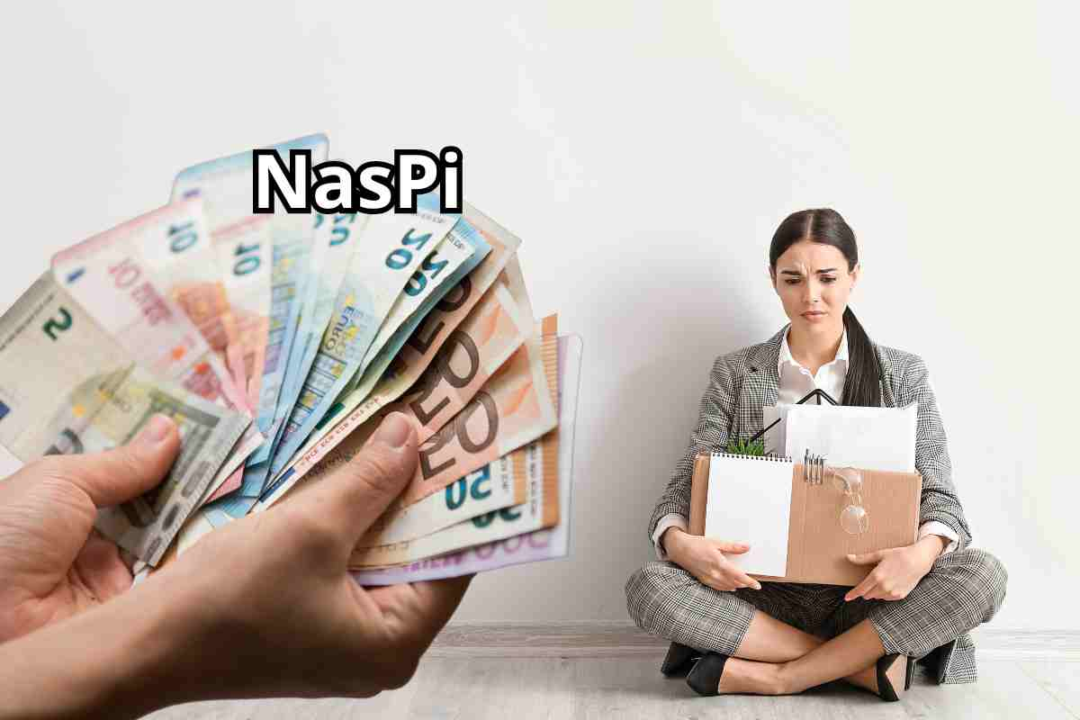 naspi contratto a termine