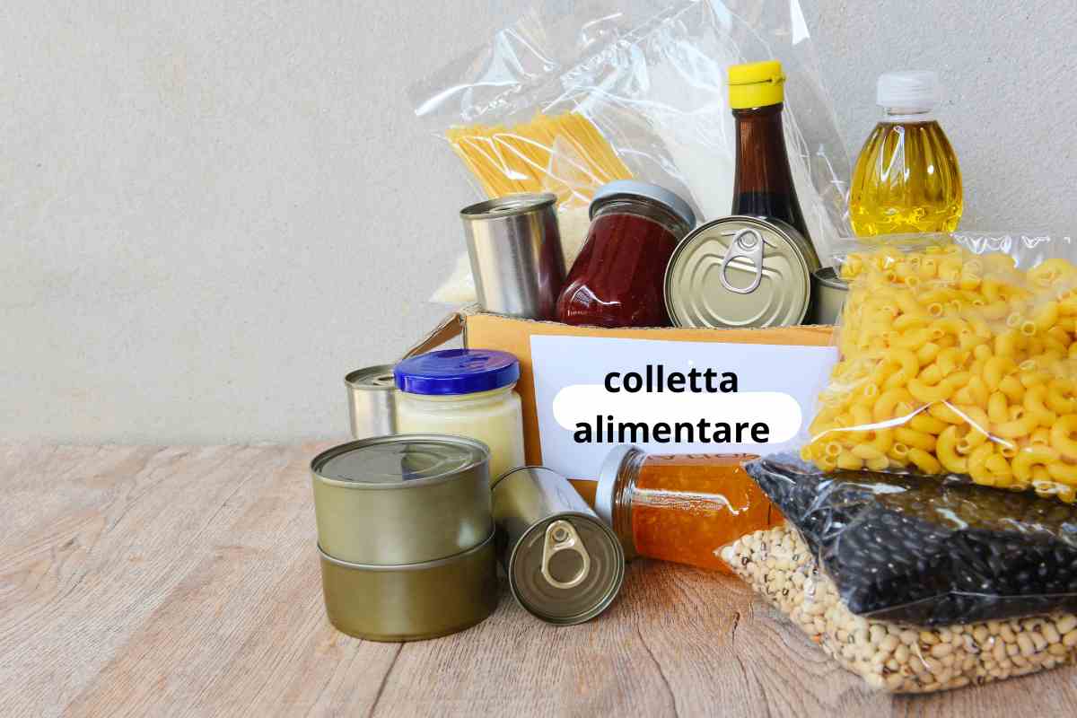 colletta alimentare 2024