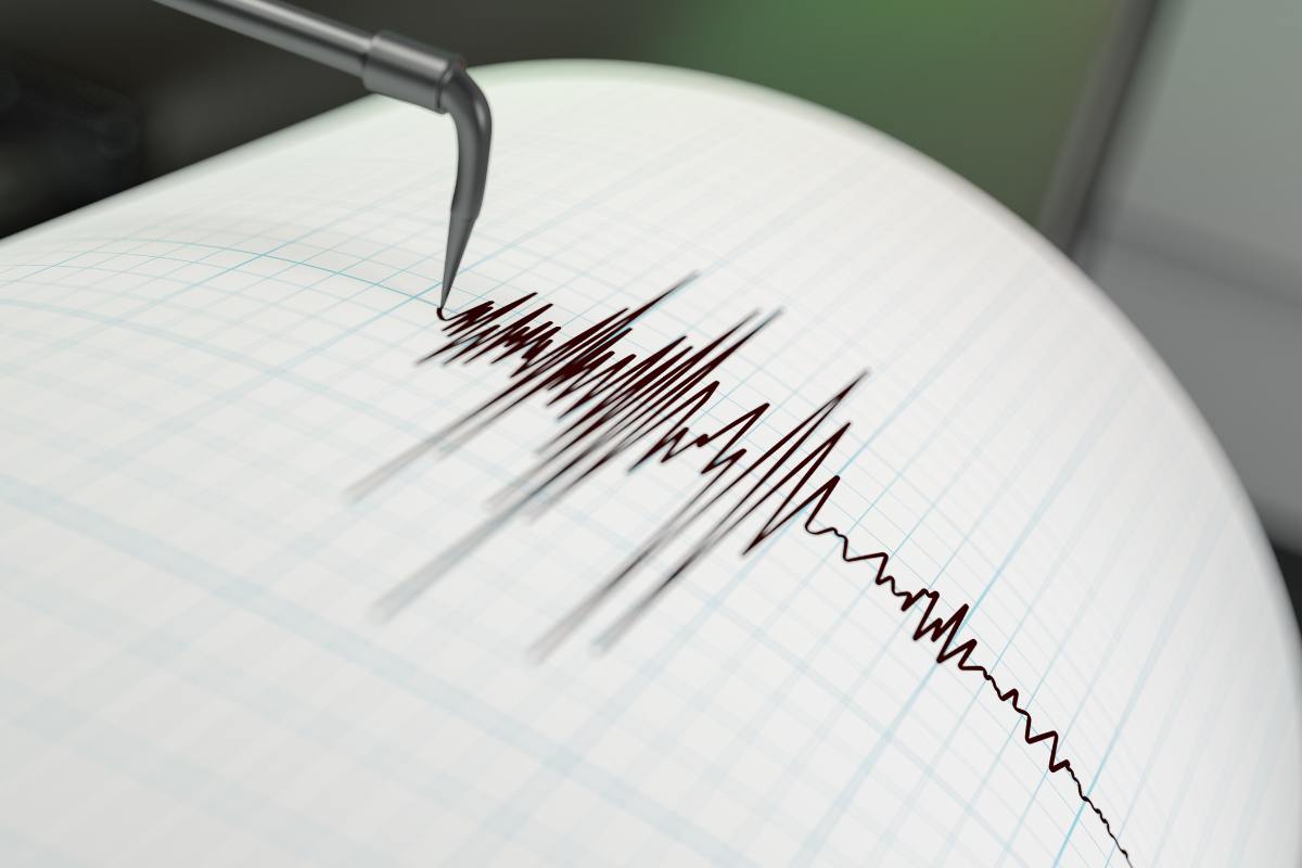 terremoto museo dell'etna